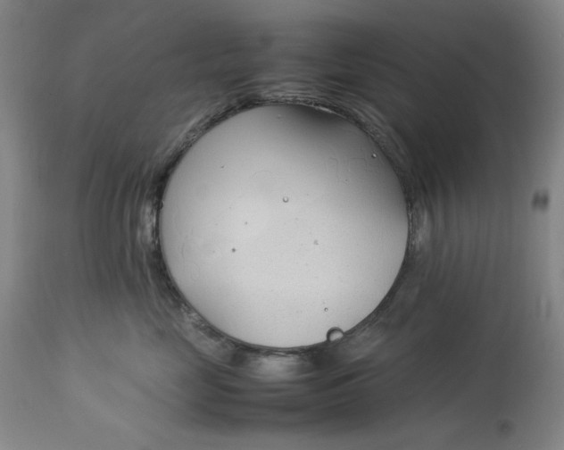 X0000112790669200909111213