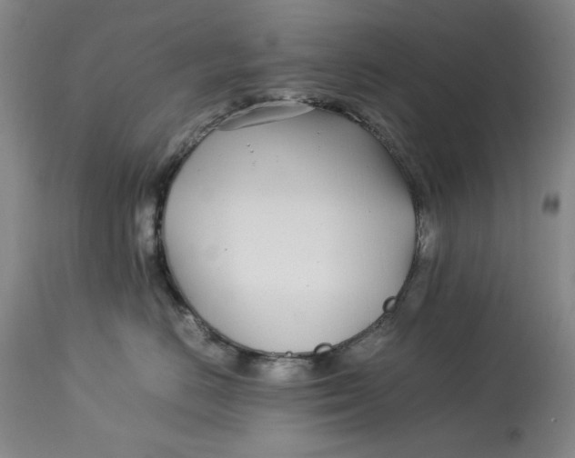 X0000112790670200909111213