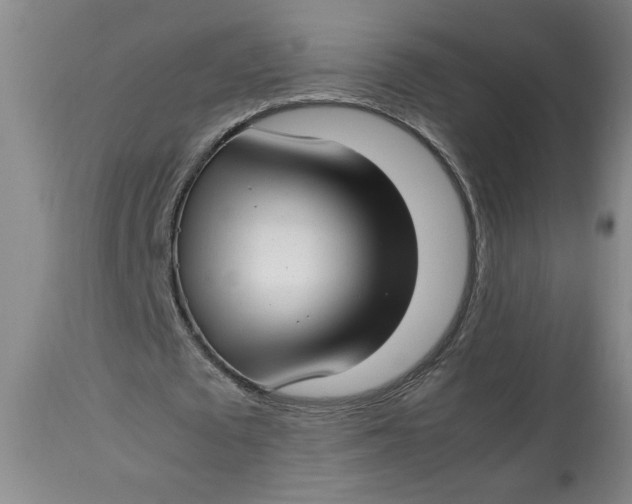 X0000112790673200909111212