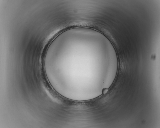 X0000112790674200909111212