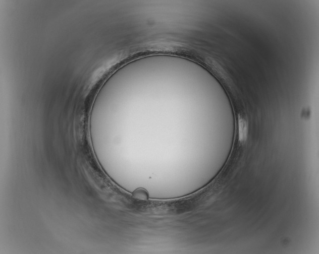 X0000112790675200909111212