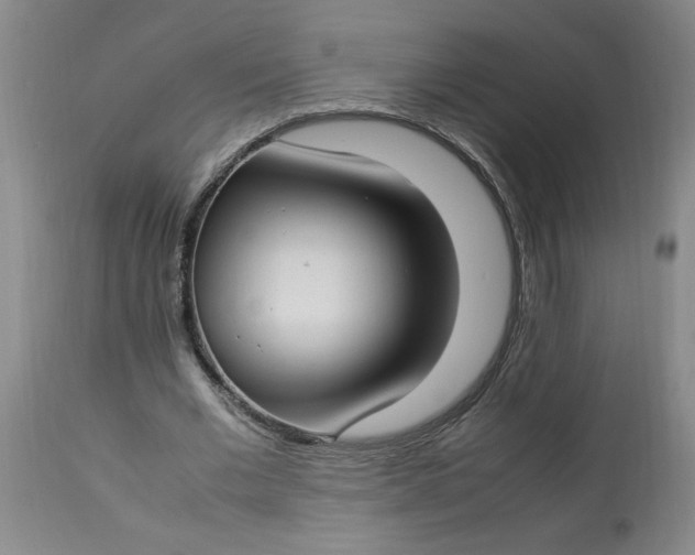 X0000112790677200909111212