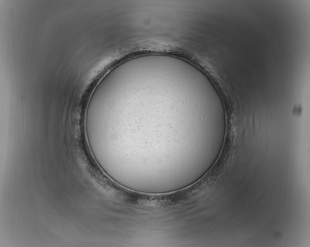 X0000112790679200909111212