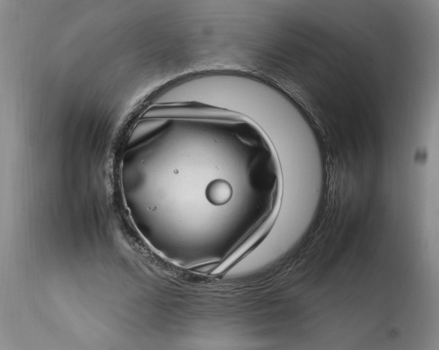 X0000112790680200909111212