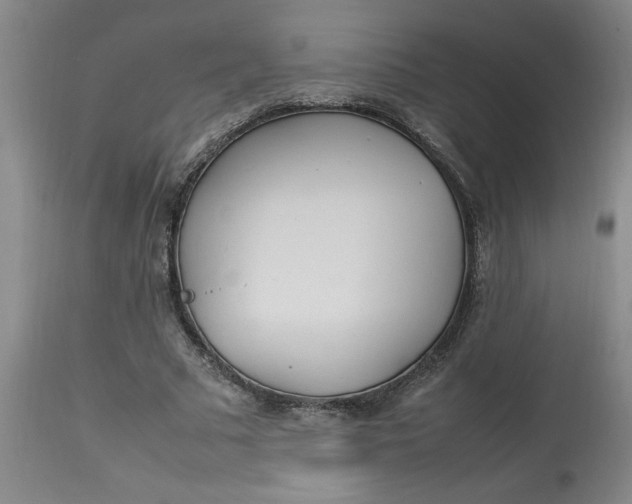 X0000112790681200909111212