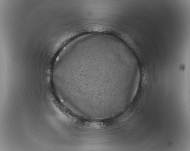 X0000112790683200909111212