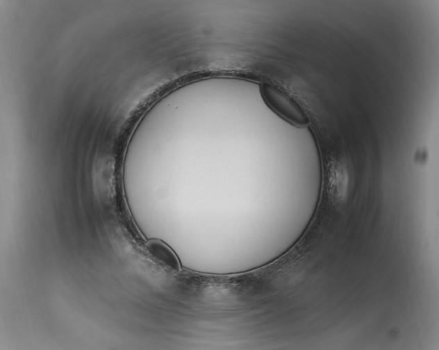 X0000112790684200909111212