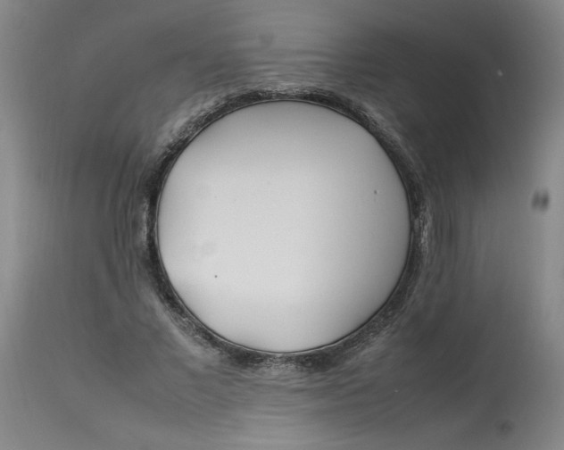 X0000112790685200909111212