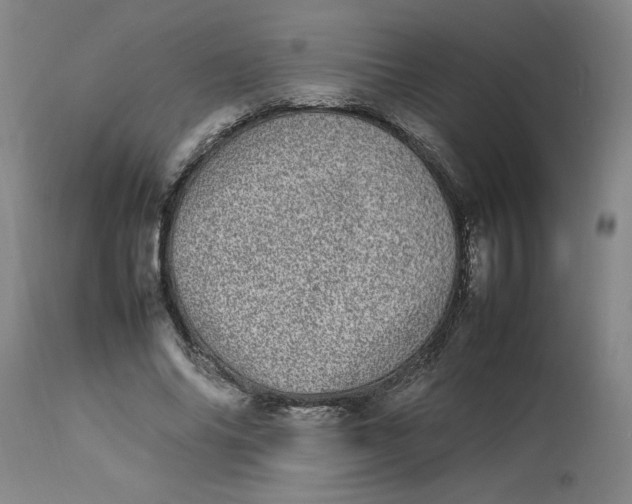 X0000112790686200909111212