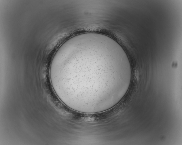 X0000112790687200909111212