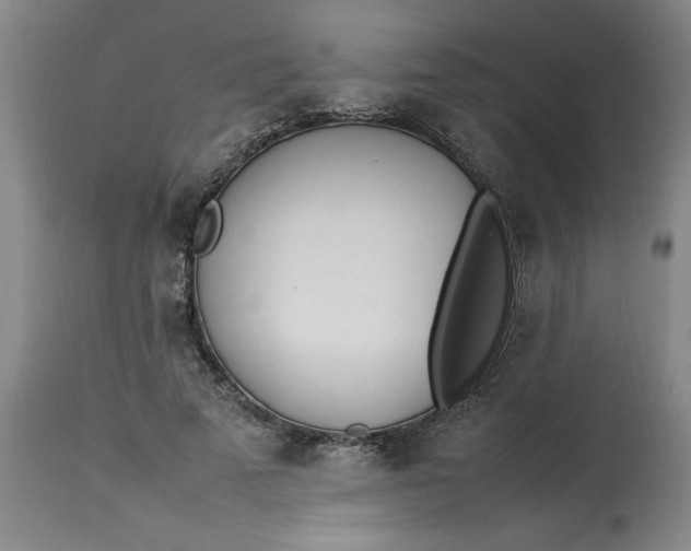 X0000112790689200909111212