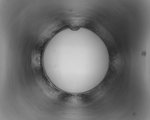 X0000112790696200909111212