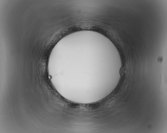 X0000112790697200909111212