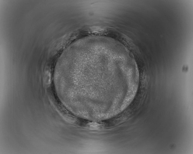 X0000112790703200909111212