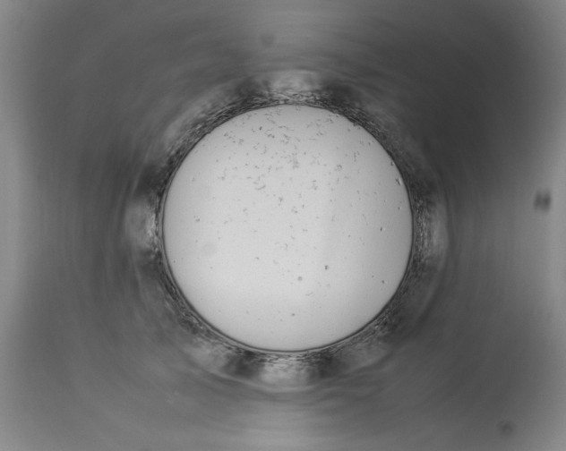 X0000112790705200909111212