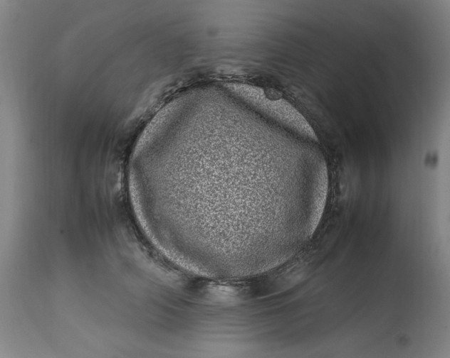 X0000112790706200909111212