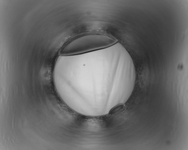 X0000112790708200909111211