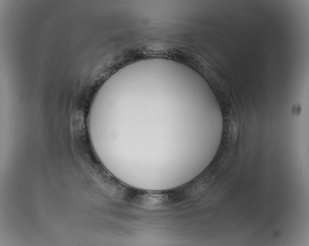 X0000112790711200909111211