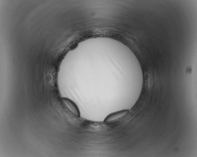 X0000112790712200909111211