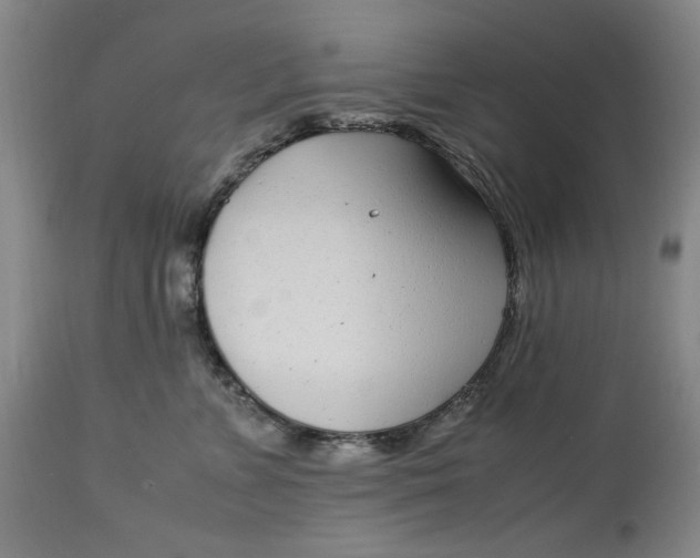 X0000112790715200909111211