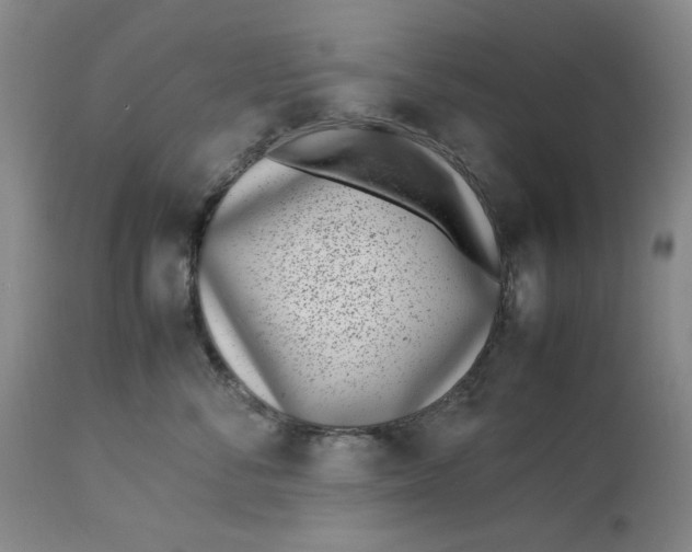 X0000112790716200909111211