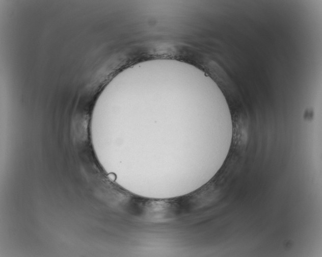 X0000112790717200909111211