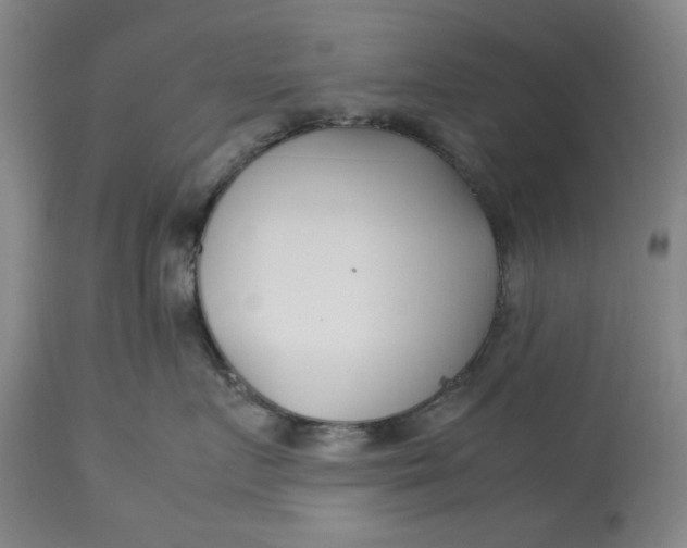 X0000112790719200909111211