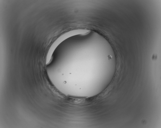 X0000112790720200909111211