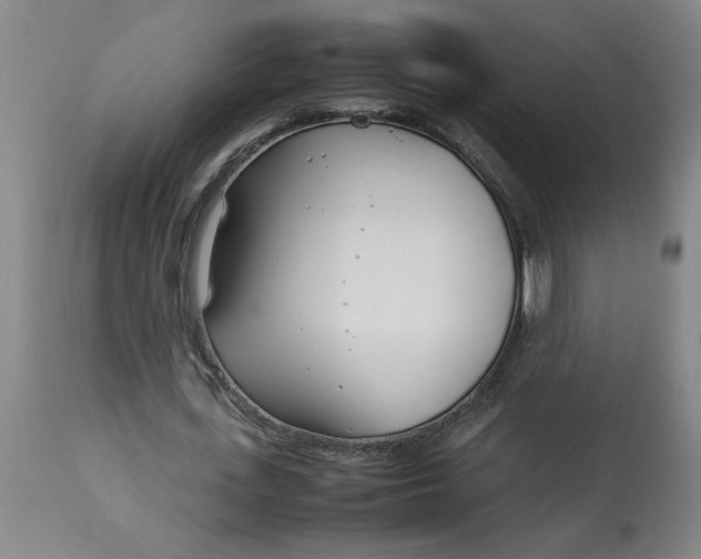 X0000112790723200909111211