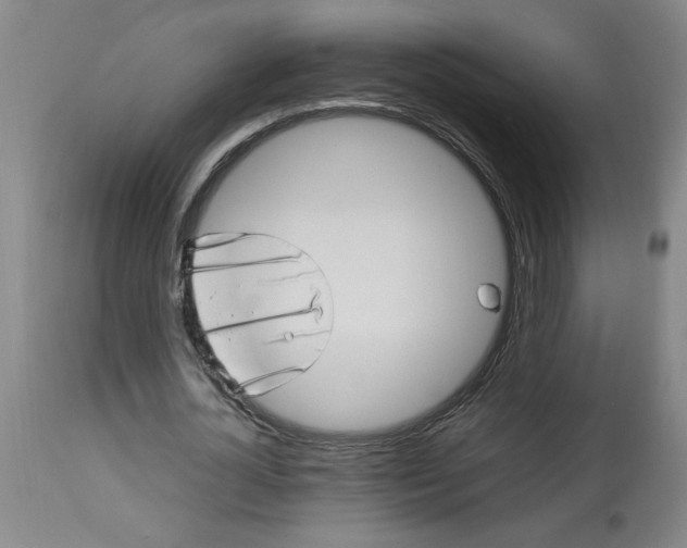 X0000112790724200909111211