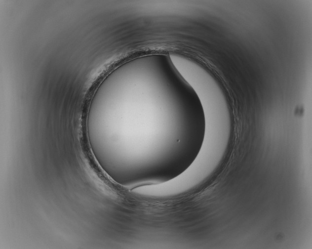 X0000112790725200909111211