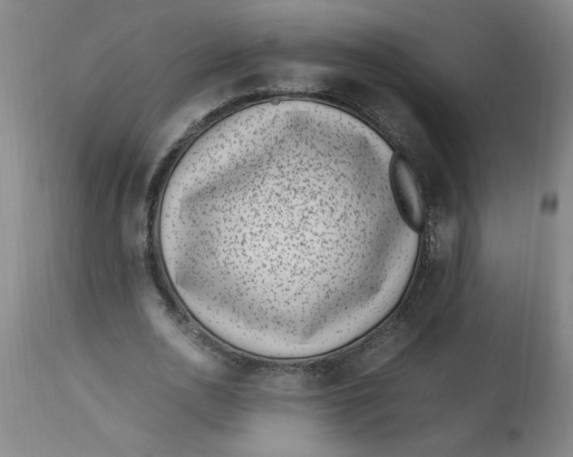 X0000112790726200909111211