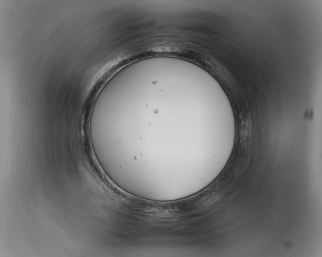 X0000112790727200909111211