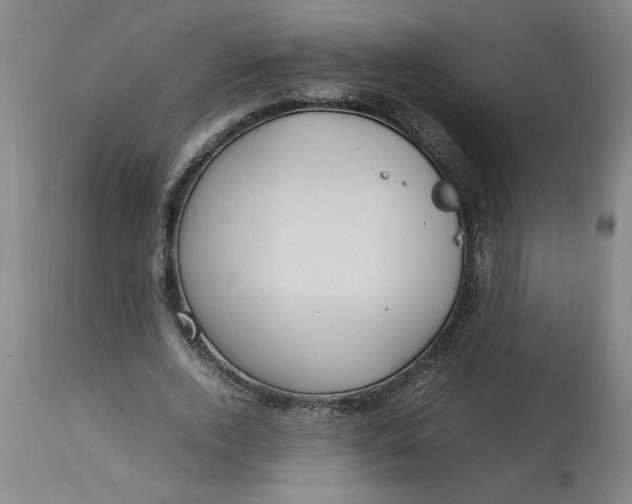 X0000112790728200909111211