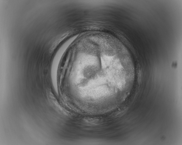 X0000112790729200909111211