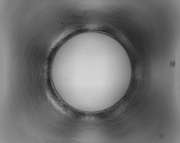 X0000112790730200909111211