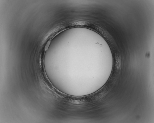 X0000112790731200909111211