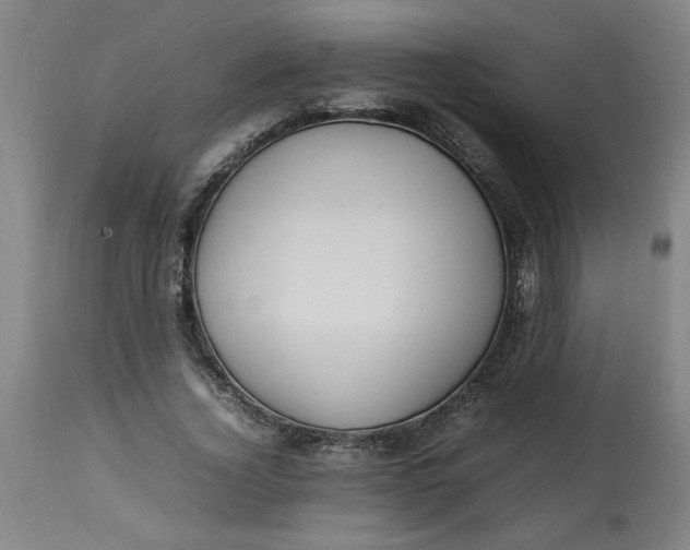 X0000112790732200909111211