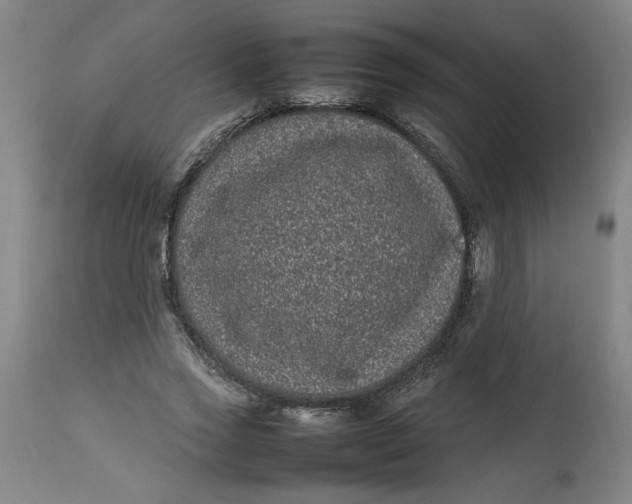 X0000112790733200909111211