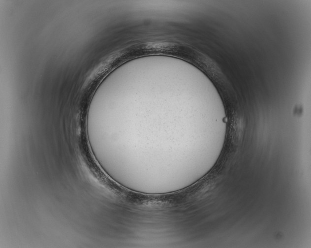 X0000112790734200909111211