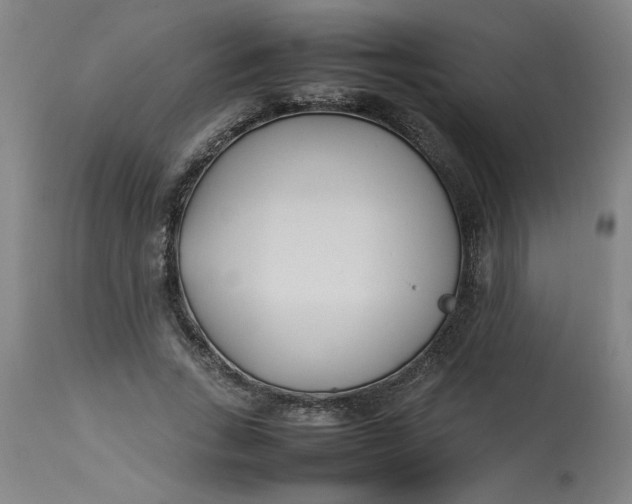 X0000112790735200909111211