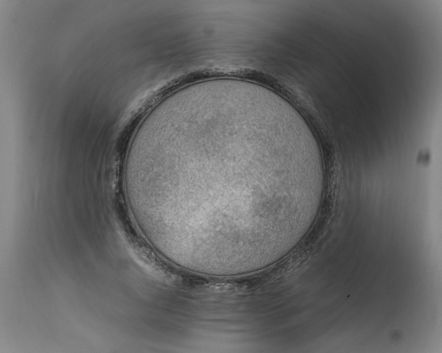 X0000112790736200909111211