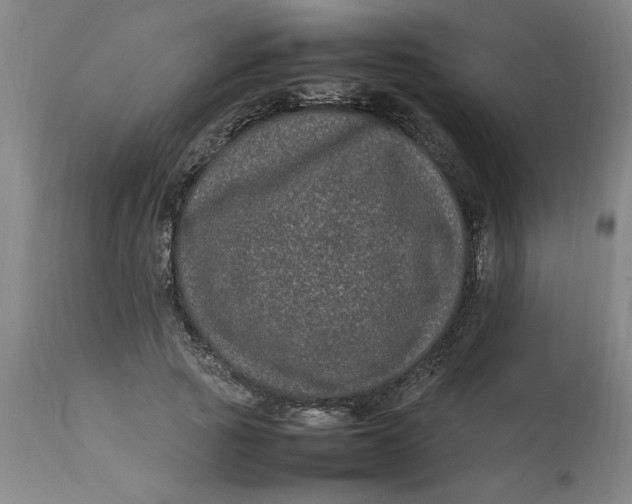 X0000112790737200909111211