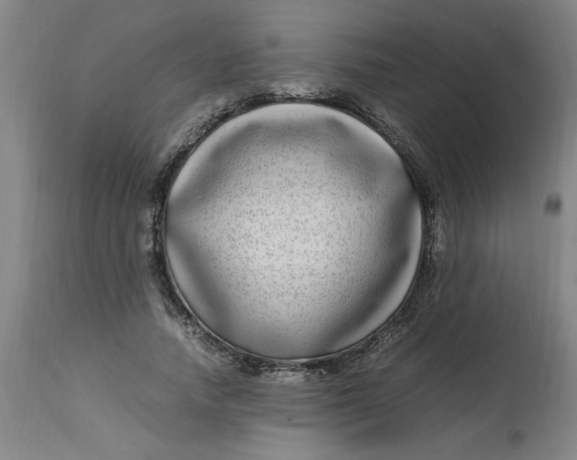 X0000112790738200909111211