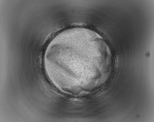 X0000112790739200909111211