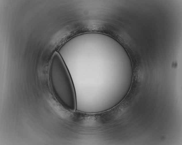 X0000112790740200909111211