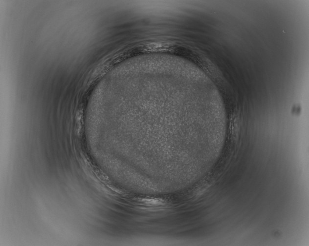 X0000112790741200909111211