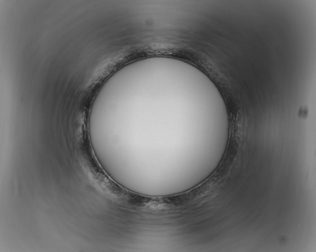 X0000112790742200909111211