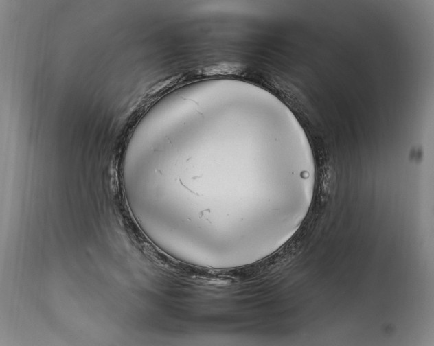 X0000112790743200909111211