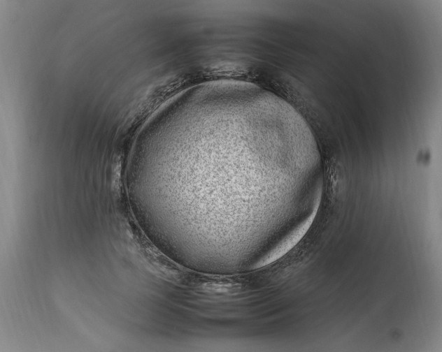 X0000112790745200909111211